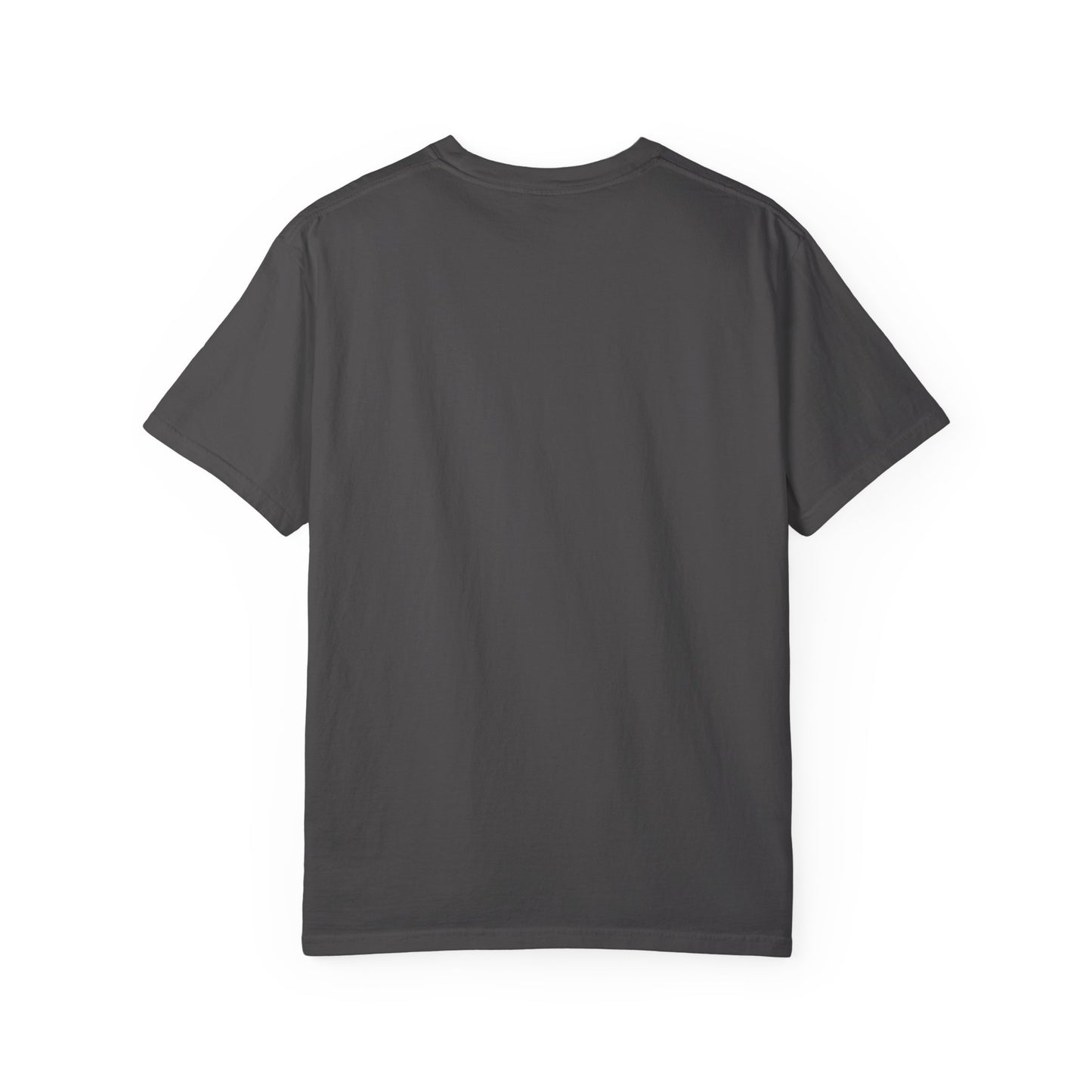 Watchful Warrior Unisex Garment-Dyed T-shirt