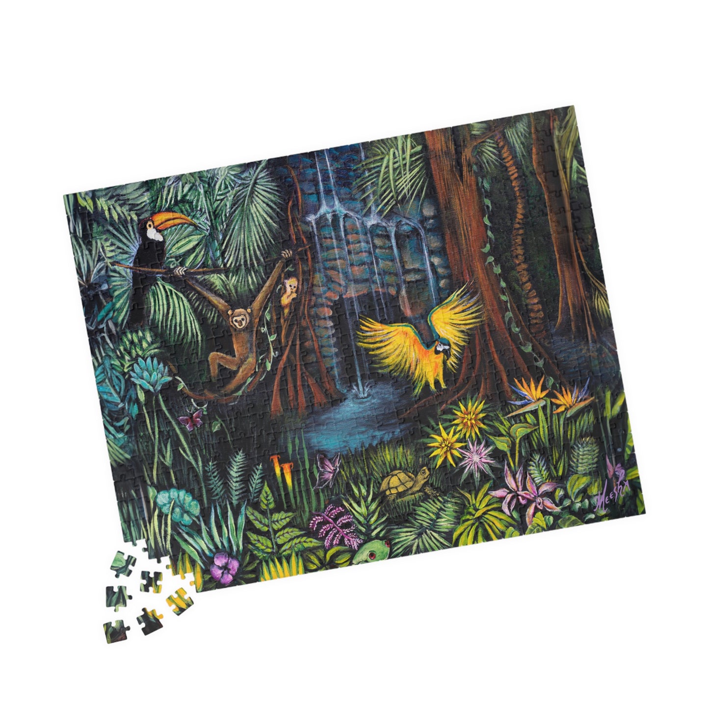 Amazonia Puzzle