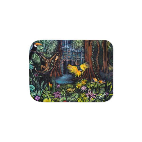 Colorful and Cozy Favorite Amazonia Sherpa Blanket